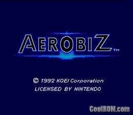 Aerobiz.jpg