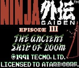 ninja gaiden 3 the ancient ship of doom