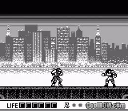 Ninja Gaiden Shadow Rom