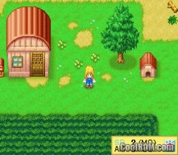 Harvest Moon Cute Ds Free Download