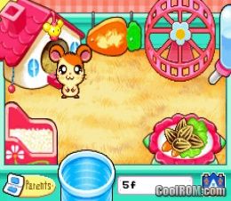 Hi! Hamtaro Ham-Ham Challenge (Europe) ROM Nintendo DS / NDS - CoolROM.com