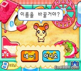 Hi! Hamtori - Hamtori & Friends (Korea) ROM Nintendo DS / NDS - CoolROM.com