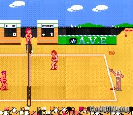 beach volleyball nes