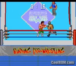 fire pro wrestling g english rom